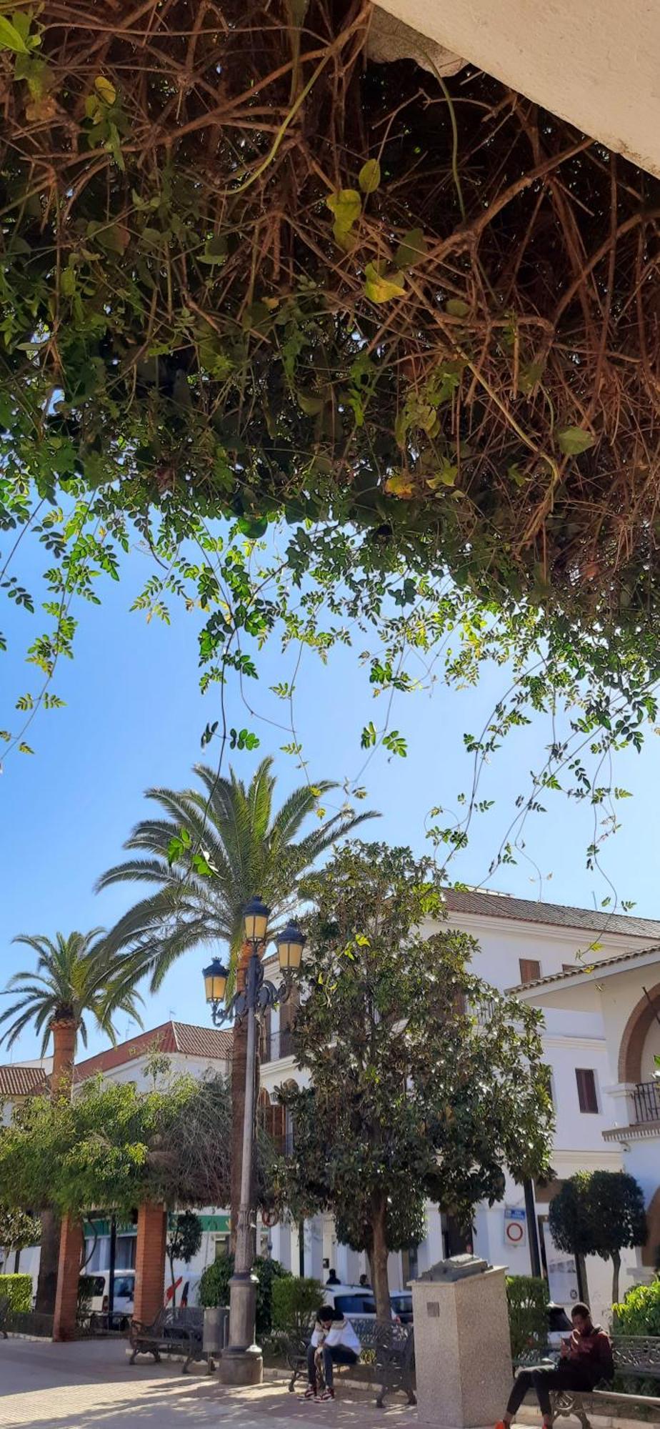 Casa Lea Villa Islantilla Kültér fotó